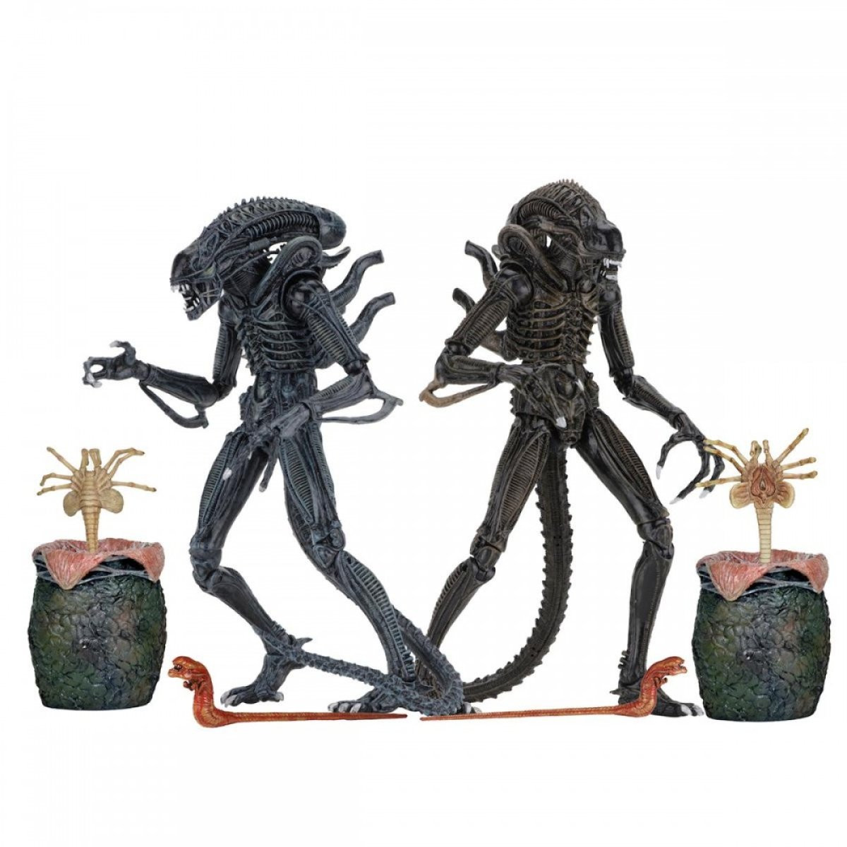 ALIENS – ACTION FIGURE – ULTIMATE ALIENS WARRIORS