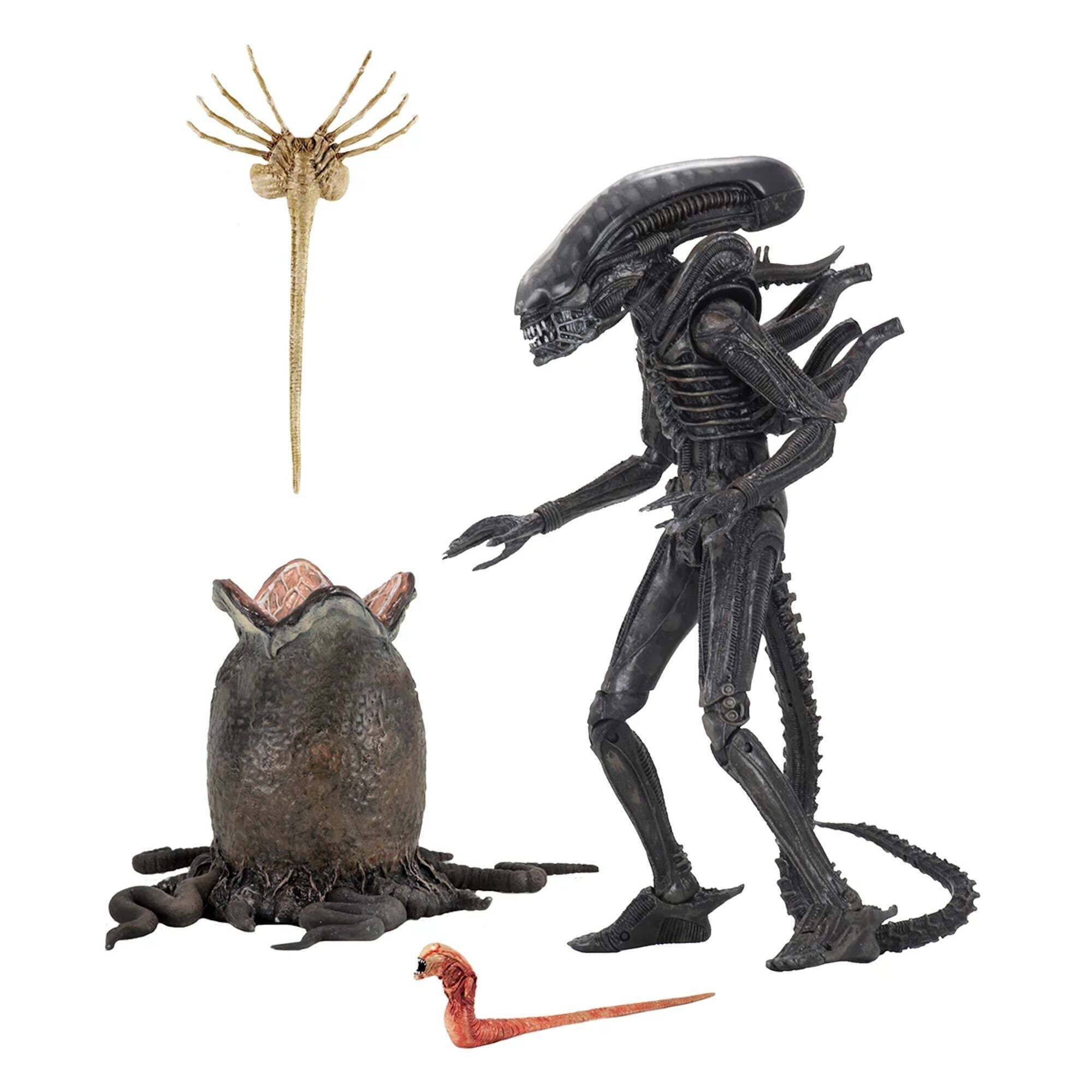 ALIEN – 18 CM GROSSE ACTIONFIGUR – ULTIMATIVE 40. JUBILÄUMS-AKTION